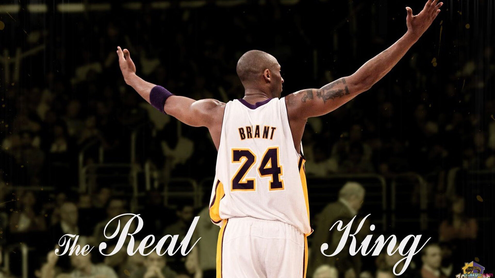 广东队防守端表现稳健有效限制对方攻势，广东队的打法