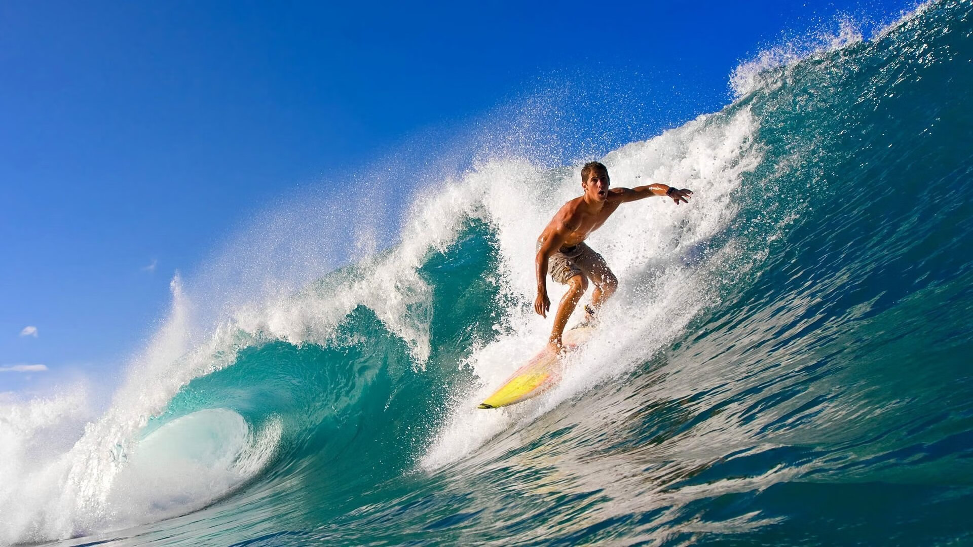 杰克·阿莱克西完美入水点燃现场氛围，杰克莱斯